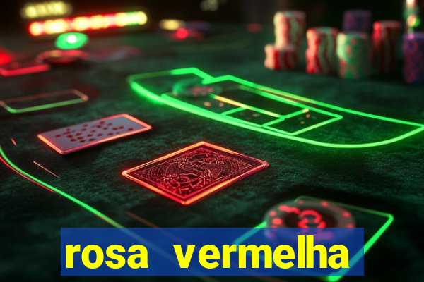 rosa vermelha (letra e cifra)