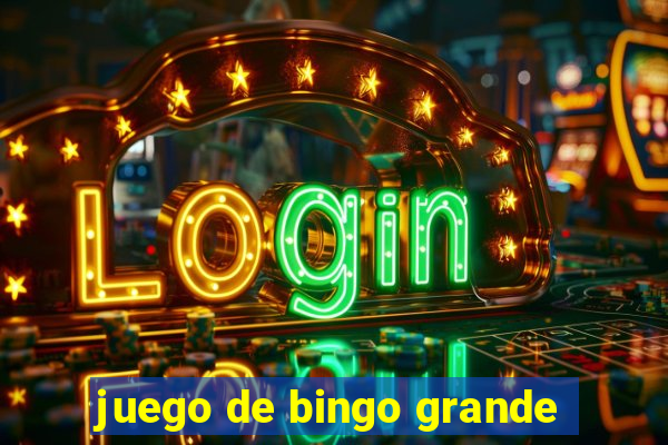 juego de bingo grande