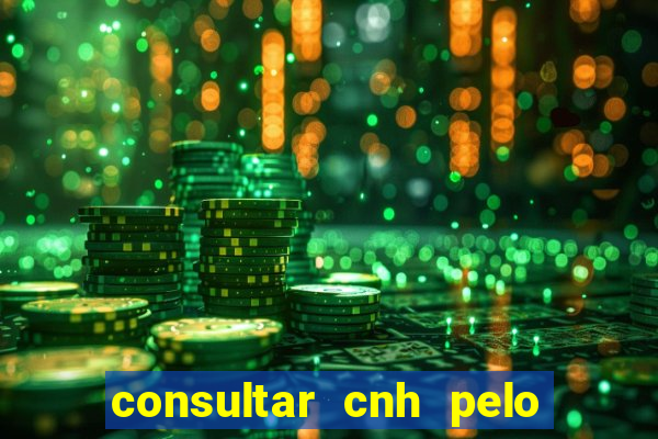 consultar cnh pelo cpf sp