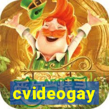 cvideogay