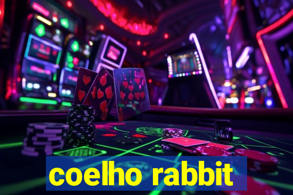 coelho rabbit