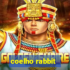 coelho rabbit