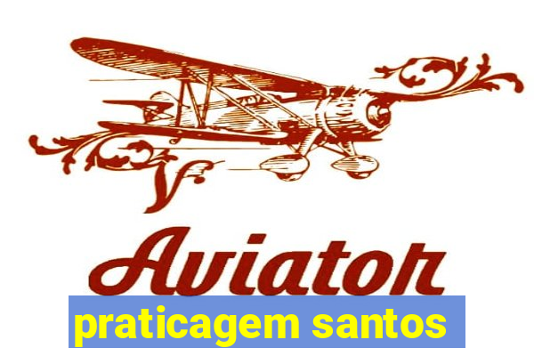 praticagem santos