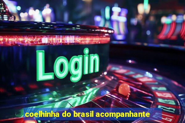 coelhinha do brasil acompanhante