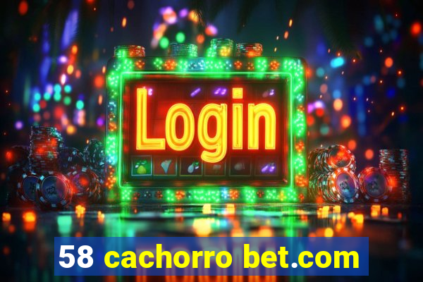 58 cachorro bet.com