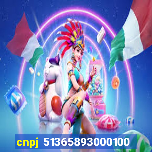 cnpj 51365893000100