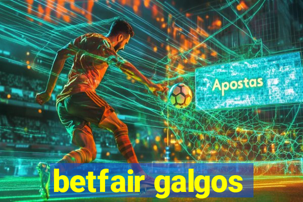 betfair galgos