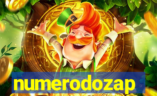 numerodozap