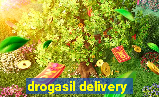 drogasil delivery