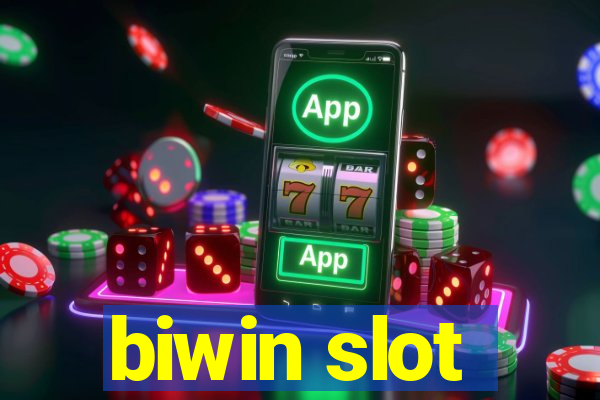 biwin slot