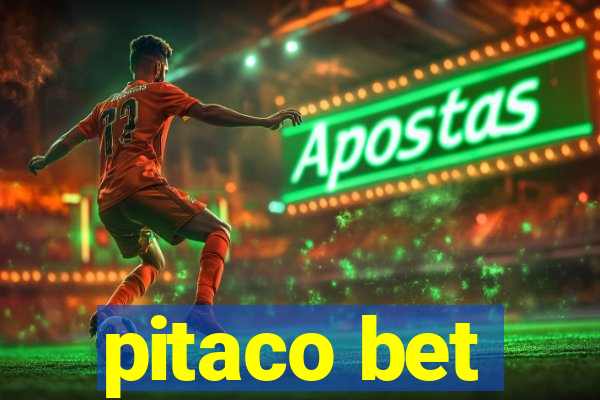 pitaco bet
