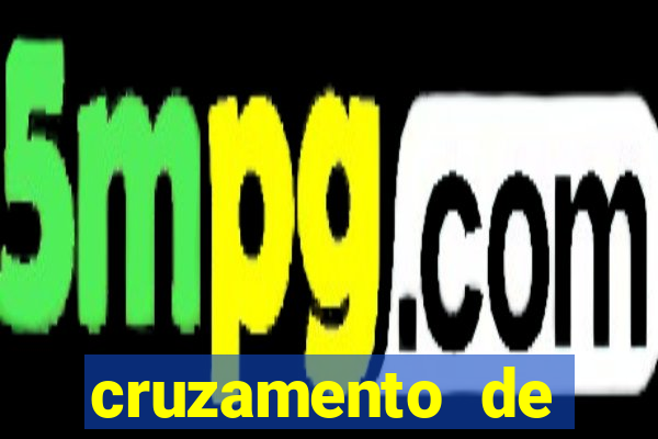cruzamento de cavalo com mula