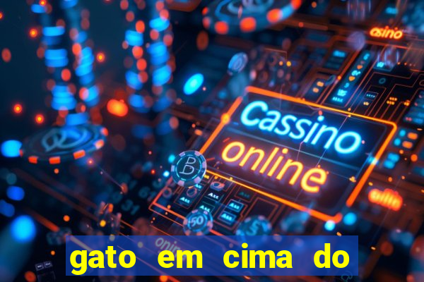 gato em cima do telhado significado espiritual