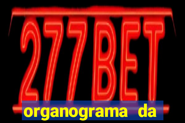 organograma da cacau show
