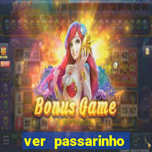ver passarinho morto significado