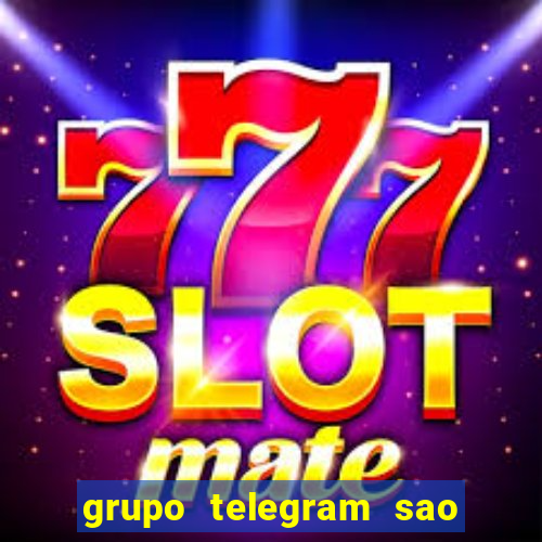 grupo telegram sao jose do rio preto