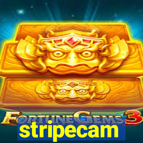 stripecam