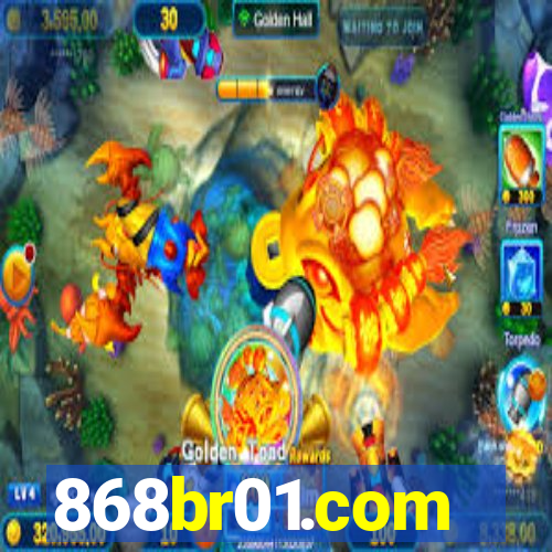 868br01.com