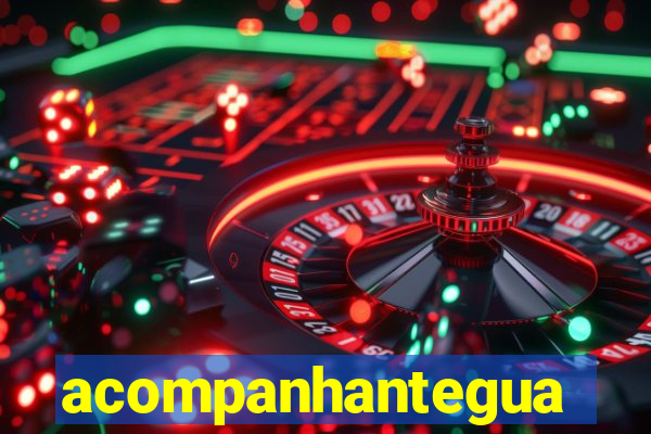 acompanhanteguanambi