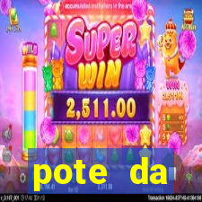 pote da prosperidade riqueza e fortuna 2024