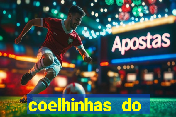 coelhinhas do brasil acompanhantes
