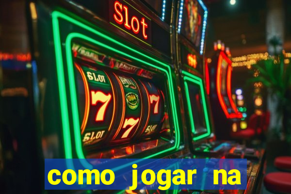 como jogar na lotinha do jogo do bicho
