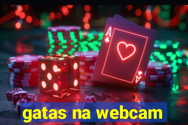 gatas na webcam