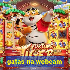 gatas na webcam