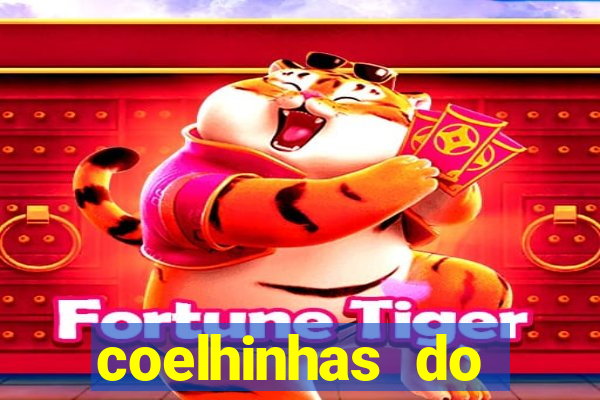 coelhinhas do brasil jp