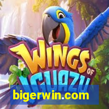 bigerwin.com
