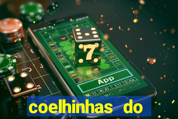 coelhinhas do brasil recife