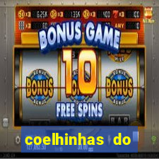 coelhinhas do brasil recife