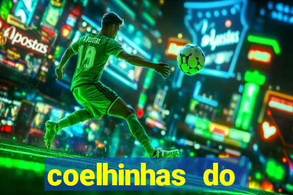 coelhinhas do brasil recife