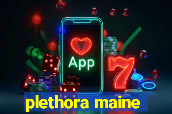 plethora maine