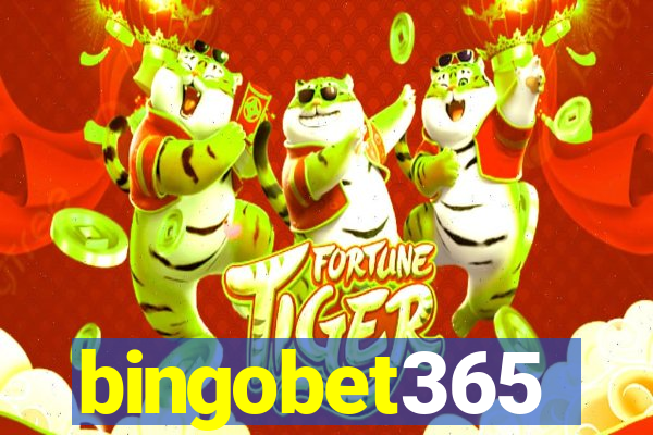 bingobet365