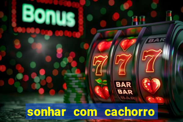 sonhar com cachorro cruzando jogo do bicho
