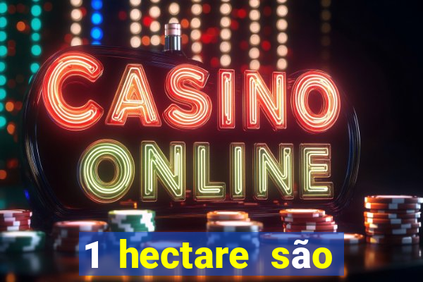 1 hectare são quantas tarefas na bahia