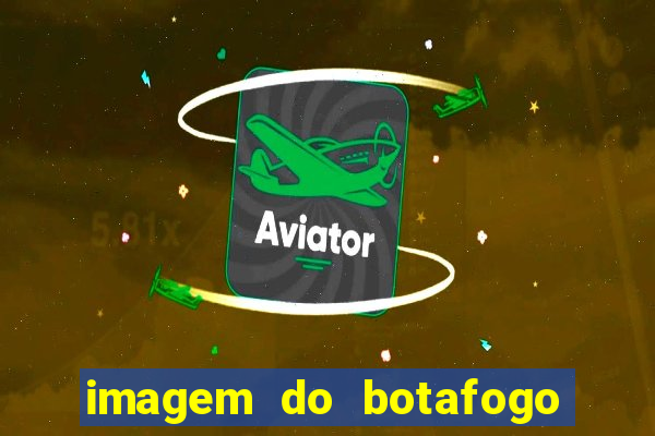 imagem do botafogo zuando o palmeiras