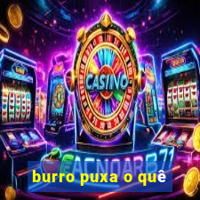 burro puxa o quê