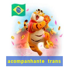 acompanhante trans baixada fluminense