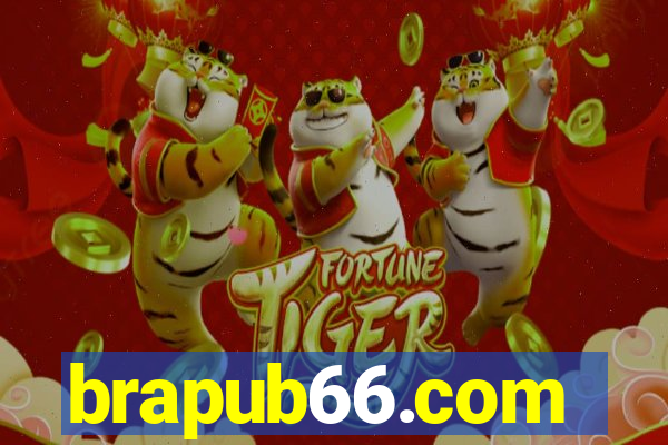 brapub66.com