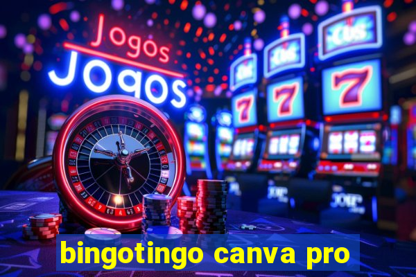 bingotingo canva pro