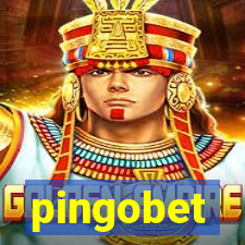 pingobet