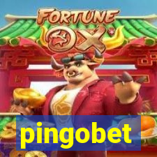 pingobet