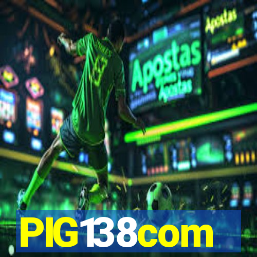 PIG138com