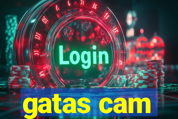 gatas cam