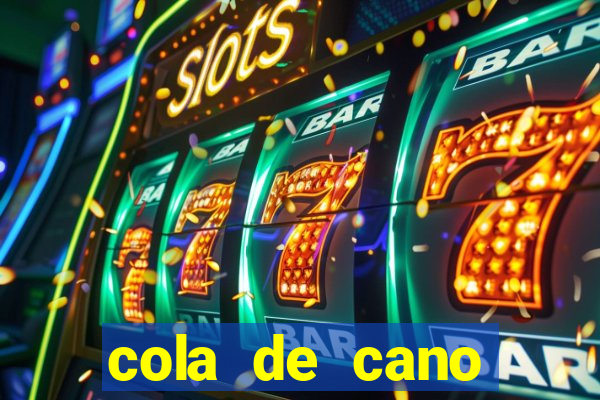 cola de cano quanto tempo para secar