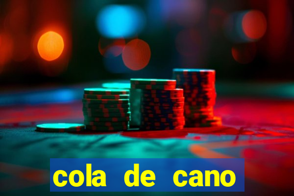 cola de cano quanto tempo para secar