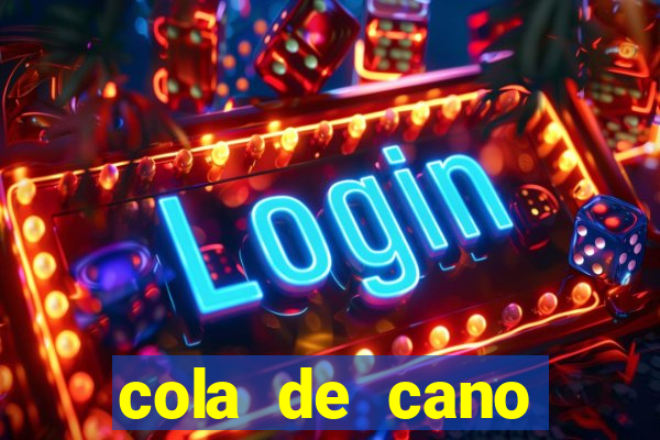 cola de cano quanto tempo para secar