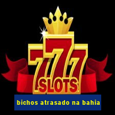 bichos atrasado na bahia